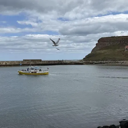 Daire Dracula Seafront, Dog-friendly With On-street Parking Whitby